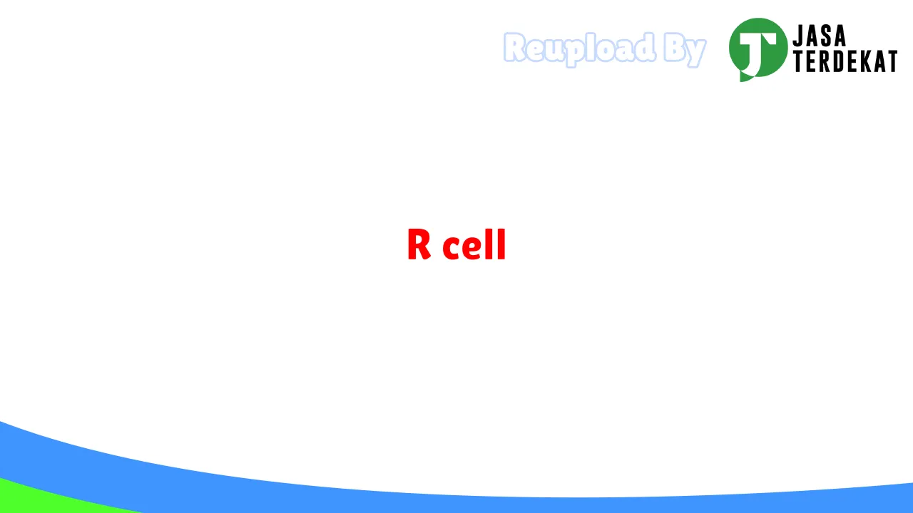 R cell