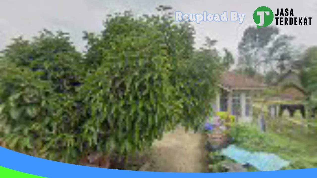 Gambar QIARA PHONE & COMPUTER di Lima Puluh Kota, Sumatera Barat ke 2