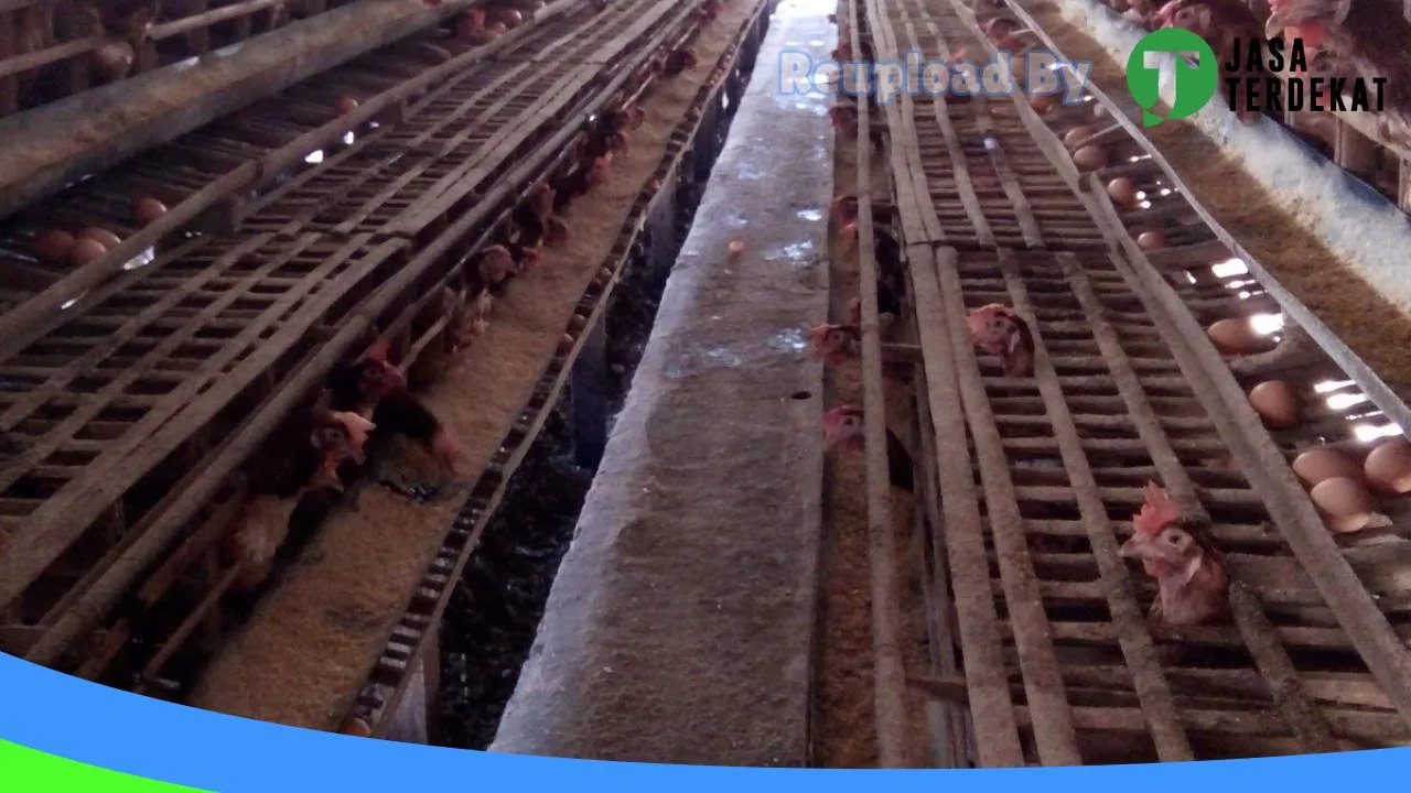 Gambar Jati Tunggal di Kota Blitar, Jawa Timur ke 5
