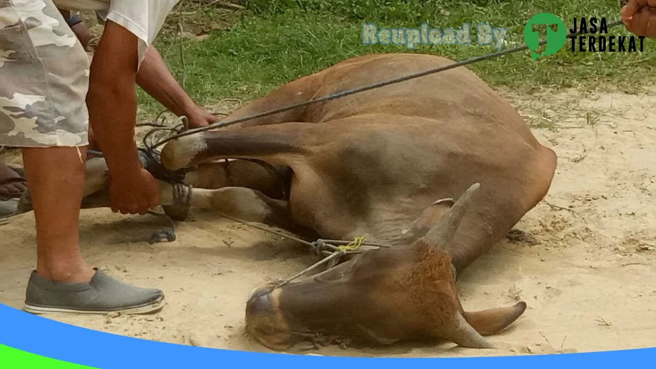 Gambar Dinas Kebersihan di Kota Kendari, Sulawesi Tenggara ke 1