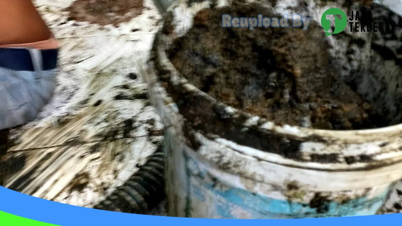 Gambar Sedot WC Rangkas bitung di Lebak, Banten ke 5