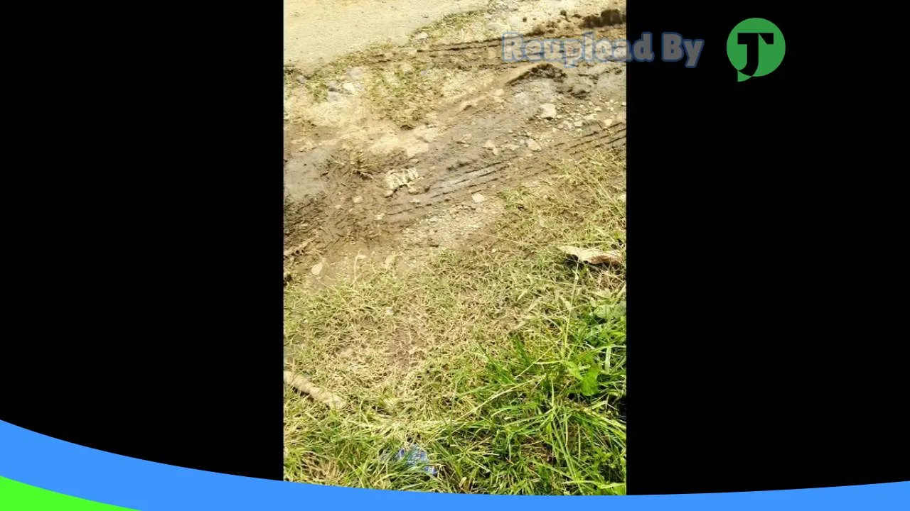 Gambar sedot wc lampung di Ende, Nusa Tenggara Timur ke 1
