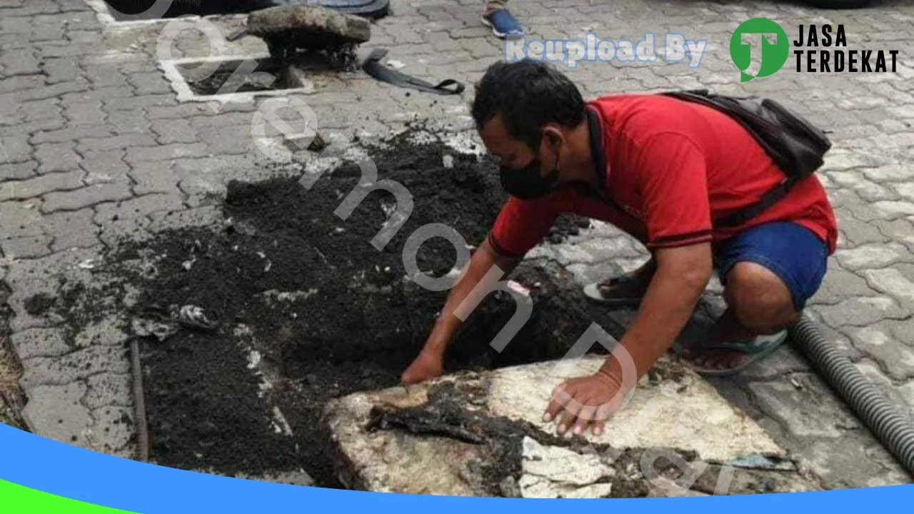 Gambar Doremon Djaya Sedot WC dan Limbah di Jayawijaya, Papua ke 5