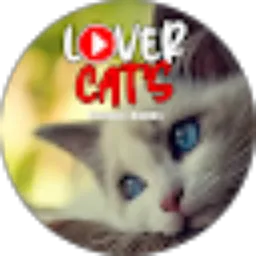 Review From LOVER CAT'S