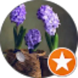 Review From Dd Tok