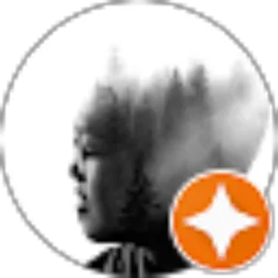 Review From Ari Suryono