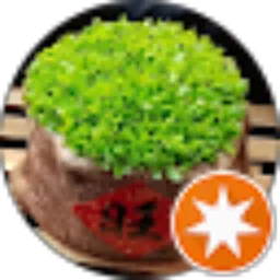 Review From Jhon San96