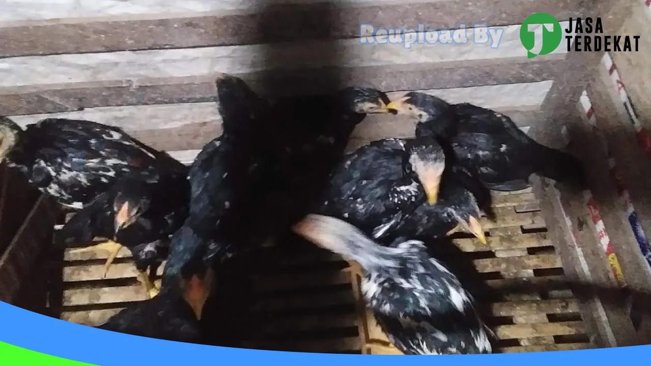 Gambar Akram Motor di Takalar, Sulawesi Selatan ke 2