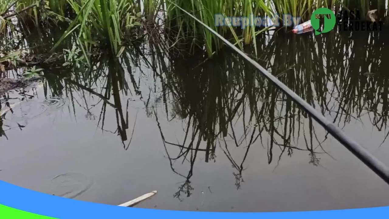 Gambar Show Room Muhammad Ridi di Hulu Sungai Selatan, Kalimantan Selatan ke 5