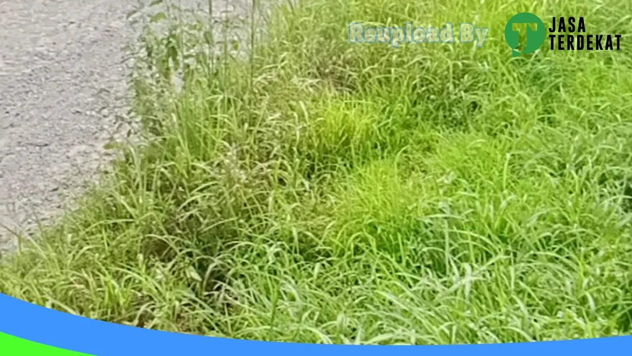 Gambar Dio motor di Mesuji, Lampung ke 1