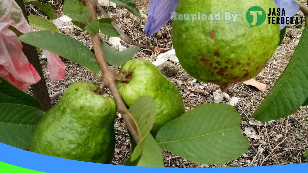 Gambar BENGKEL BOSPUMP di Lamandau, Kalimantan Tengah ke 3