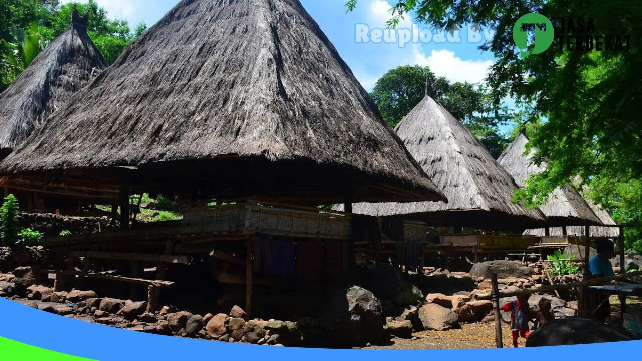 Gambar Takpala Traditional Village Alor di Alor, Nusa Tenggara Timur ke 2