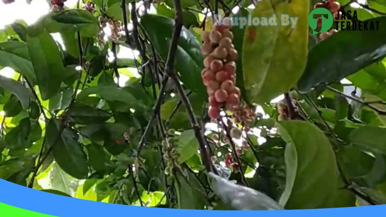 Gambar Private Mengemudi Raditya di Bangli, Bali ke 1