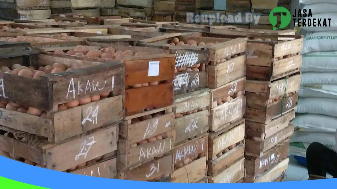 Gambar AKAW TELUR PUSAT di Ciamis, Jawa Barat ke 4