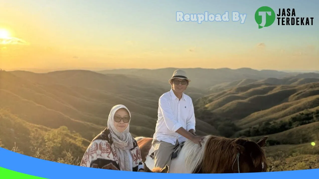 Gambar RENTAL SEWA MOBIL DAN TRAVEL HAPPY TOUR SUMBA LEPAS KUNCI di Sumba Barat, Nusa Tenggara Timur ke 3