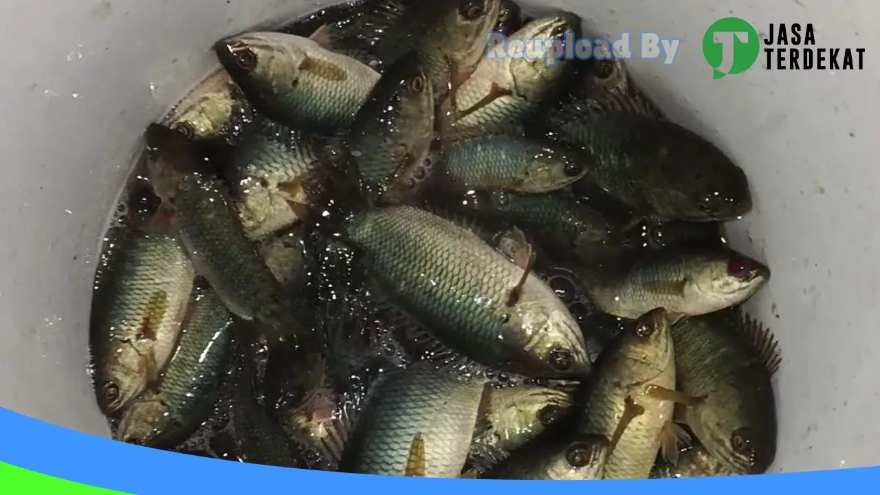 Gambar Show Room Muhammad Ridi di Hulu Sungai Selatan, Kalimantan Selatan ke 1