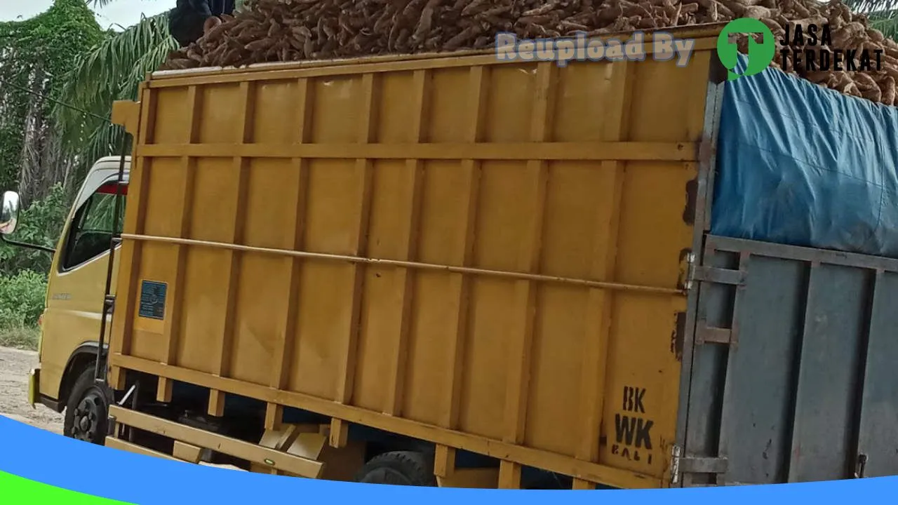 Gambar Sorum ratu bahagia di Way Kanan, Lampung ke 2