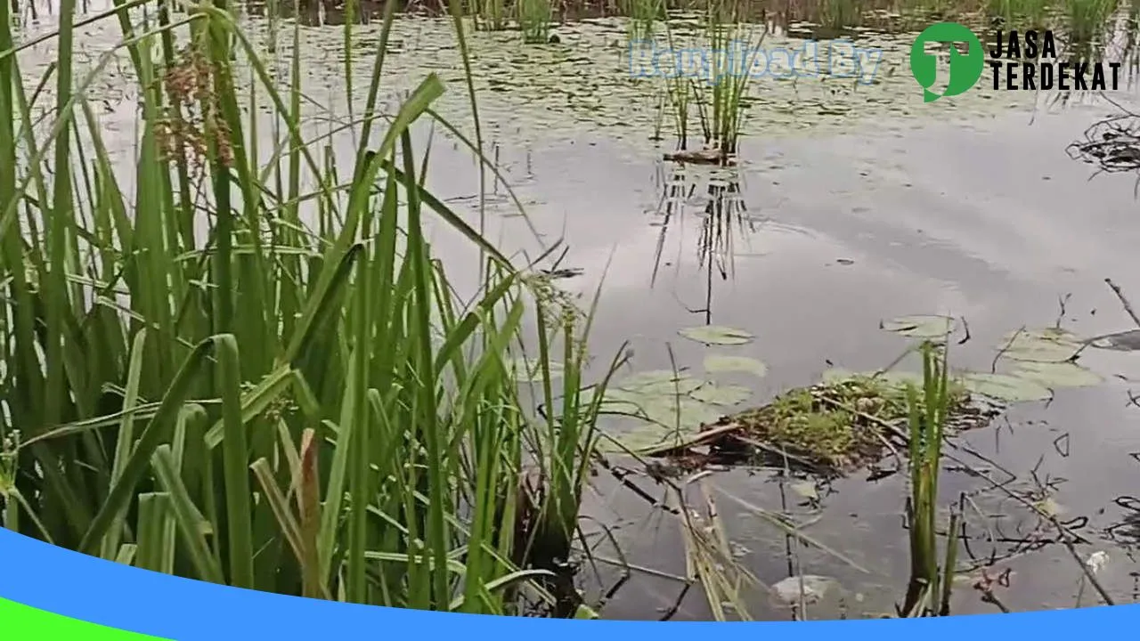 Gambar Show Room Muhammad Ridi di Hulu Sungai Selatan, Kalimantan Selatan ke 2