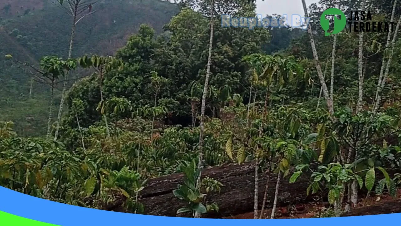 Gambar Waykanan di Way Kanan, Lampung ke 2