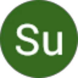 Review From Su Piyan