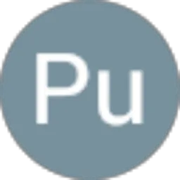 Review From Pu Put