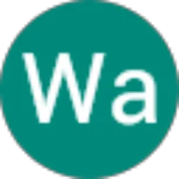 Review From Wa Susi
