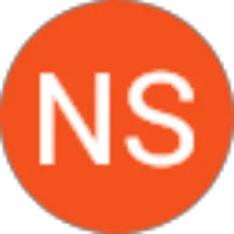 Review From NS MOTOR