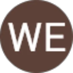 Review From WE Snack