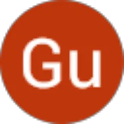 Review From Gu Go