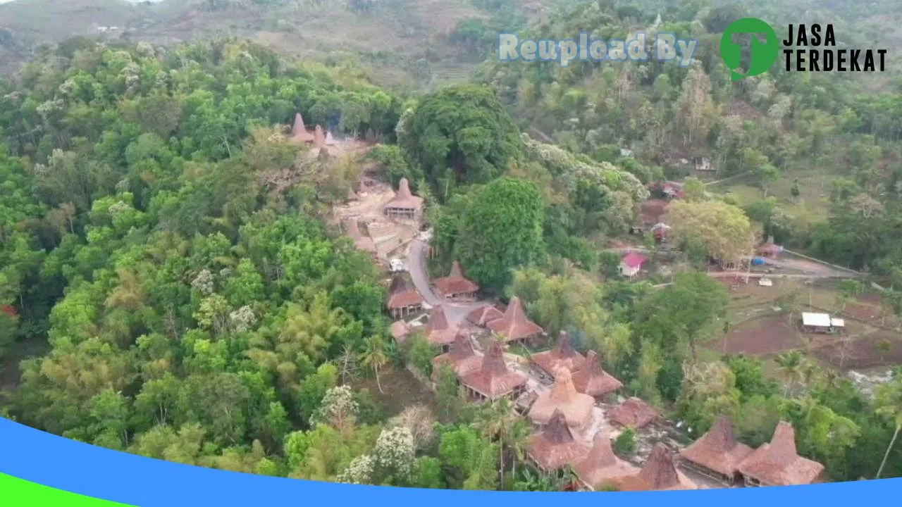 Gambar RENTAL SEWA MOBIL DAN TRAVEL HAPPY TOUR SUMBA LEPAS KUNCI di Sumba Barat, Nusa Tenggara Timur ke 1