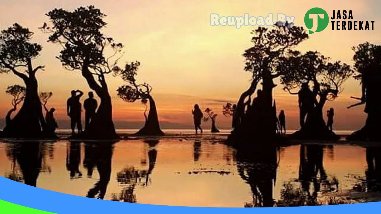Gambar Rental Mobil Sumba Tour and Travel di Sumba Barat Daya, Nusa Tenggara Timur ke 2