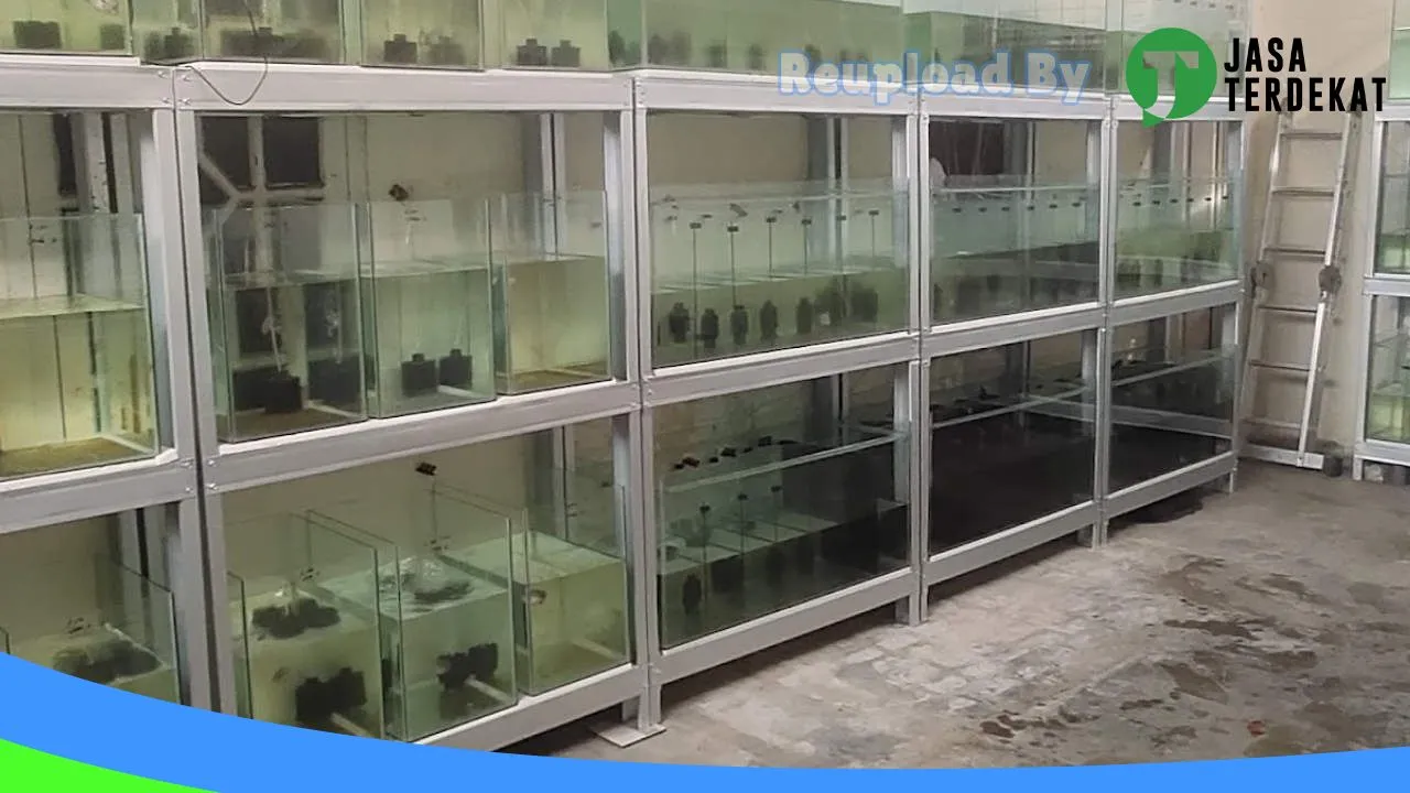 Gambar Showroom Mobil Gemilang di Banyuasin, Sumatera Selatan ke 3