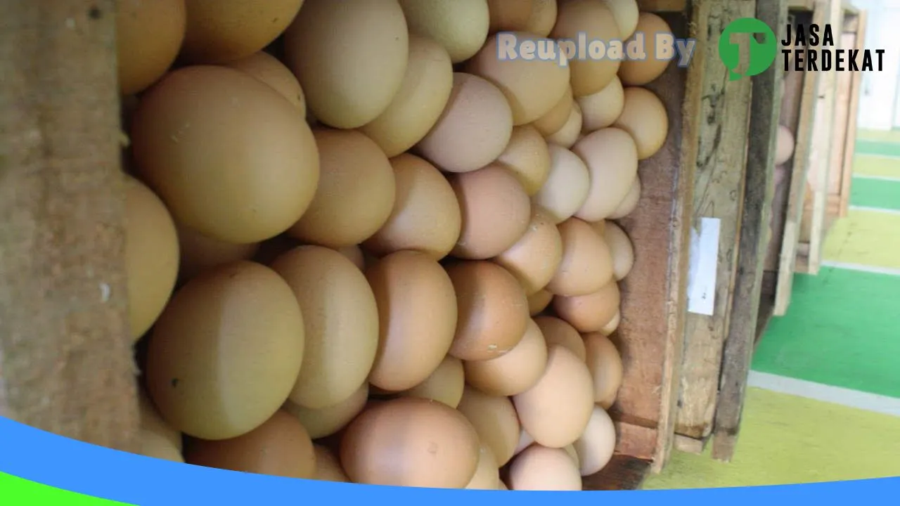 Gambar AKAW TELUR PUSAT di Ciamis, Jawa Barat ke 2