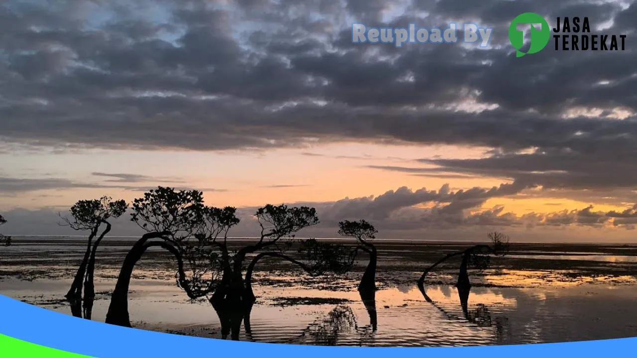 Gambar Rental Mobil Sumba di Sumba Timur, Nusa Tenggara Timur ke 1