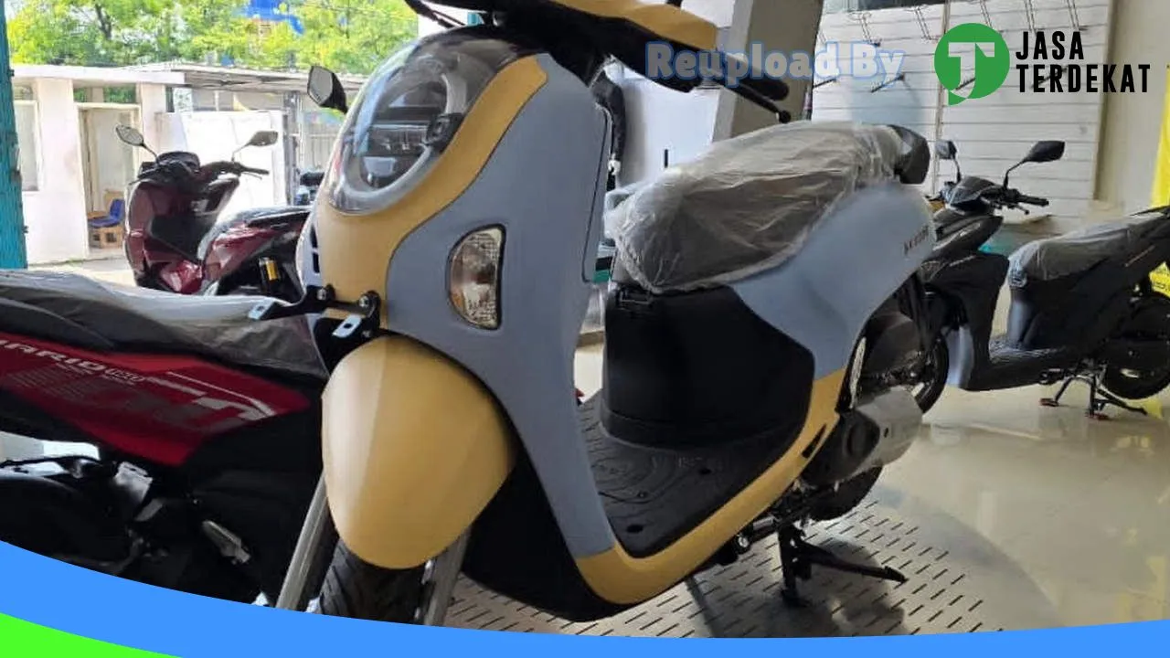 Gambar Cendana Mekar Wangi di Pekalongan, Jawa Tengah ke 4