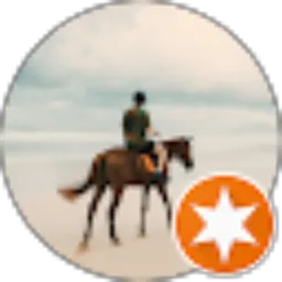 Review From REY