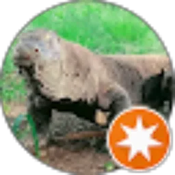 Review From Angalai Jr
