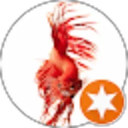 Review From Ahmed Irawan