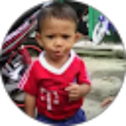 Review From Andy Ariyanto
