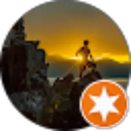 Review From P . P. L O L U