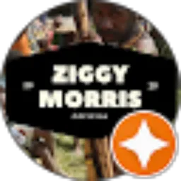 Review From Ziggy Morris Official