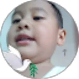 Review From Polarenta Panjaitan