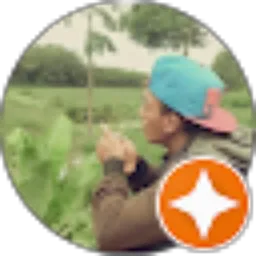 Review From Ahmad Billian Mustofa