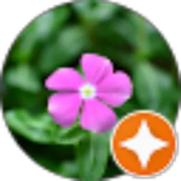 Review From Lisa Angga