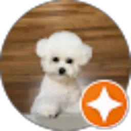 Review From Ankko