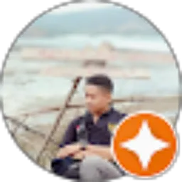 Review From DEDI WS