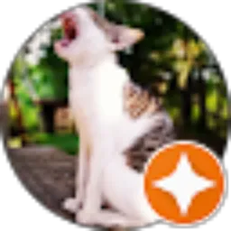 Review From Da iam