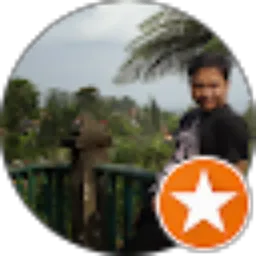 Review From Aris Hartono