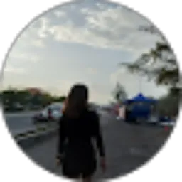 Review From Alfany Fany