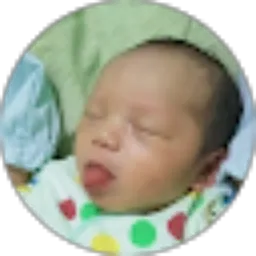 Review From Muhammad Rizky